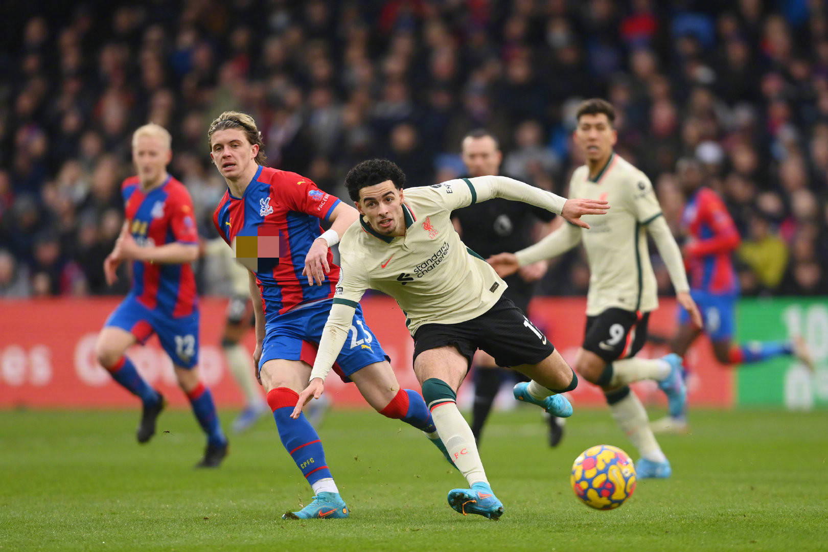 乒乓球这项 乒乓球这项